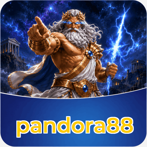 Privacy & Security pandora88